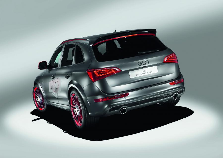  Audi Q5 Custom Concept (8R) 2009 года  (фото 17 из 18)